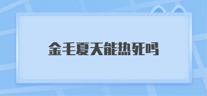 金毛夏天能热死吗