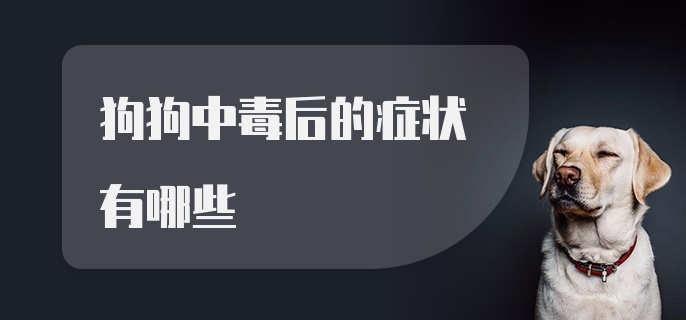 狗狗中毒后的症状有哪些