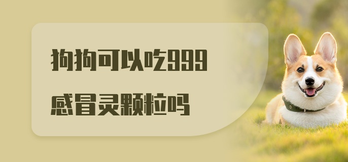 狗狗可以吃999感冒灵颗粒吗