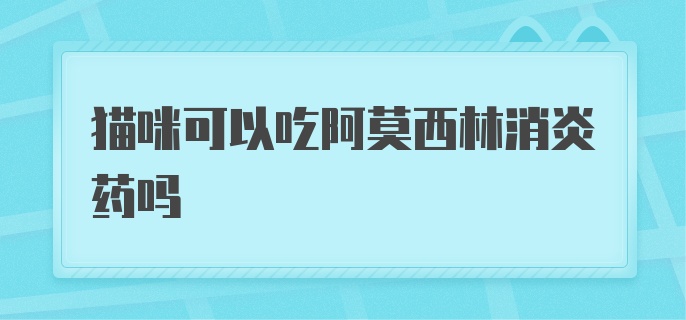 猫咪可以吃阿莫西林消炎药吗