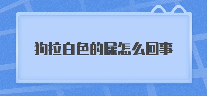 狗拉白色的屎怎么回事