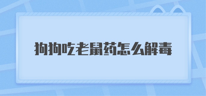 狗狗吃老鼠药怎么解毒