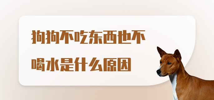 狗狗不吃东西也不喝水是什么原因