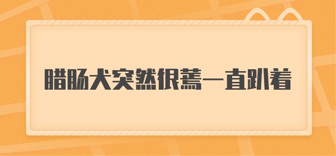 腊肠犬突然很蔫一直趴着