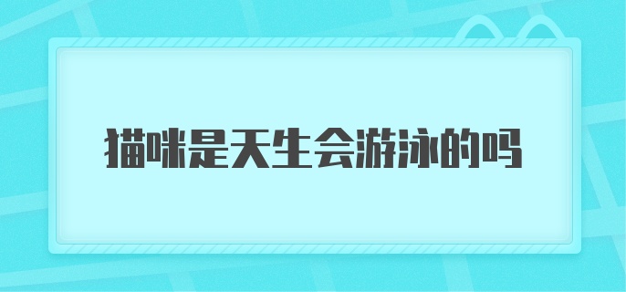 猫咪是天生会游泳的吗