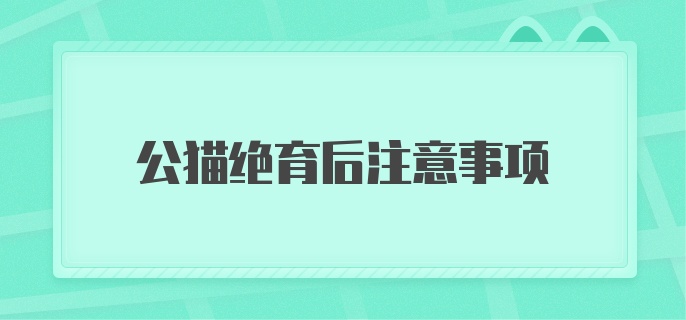 公猫绝育后注意事项