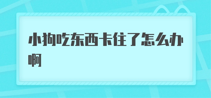 小狗吃东西卡住了怎么办啊