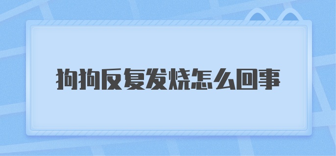 狗狗反复发烧怎么回事