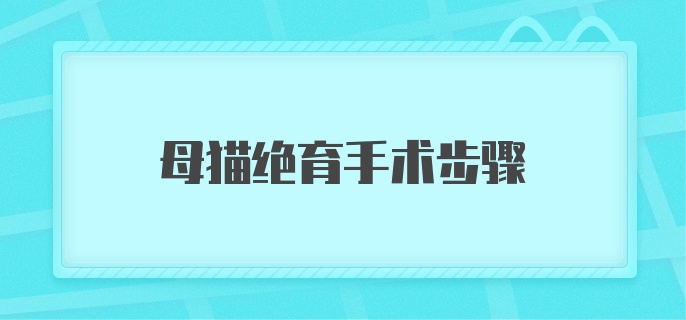 母猫绝育手术步骤