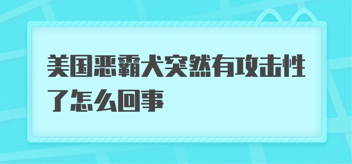 美国恶霸犬突然有攻击性了怎么回事