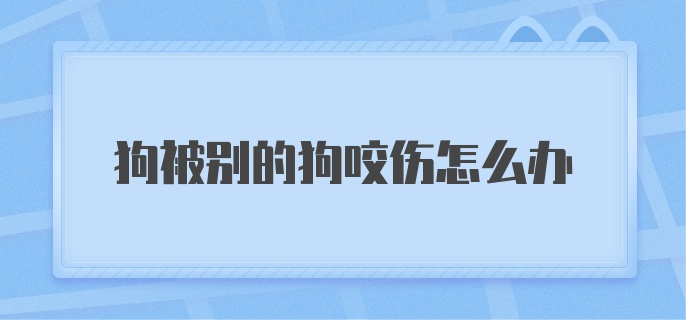 狗被别的狗咬伤怎么办