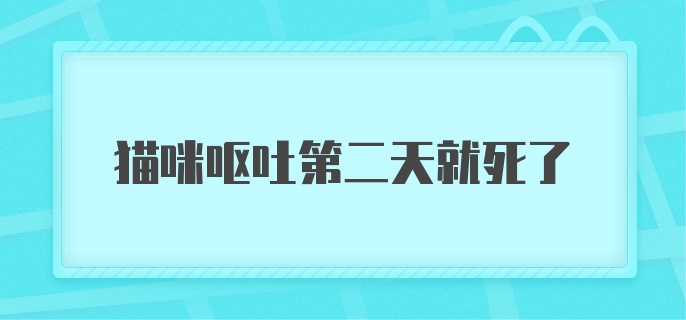 猫咪呕吐第二天就死了