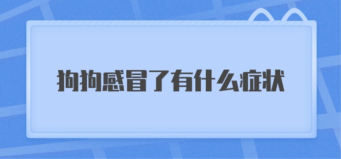 狗狗感冒了有什么症状