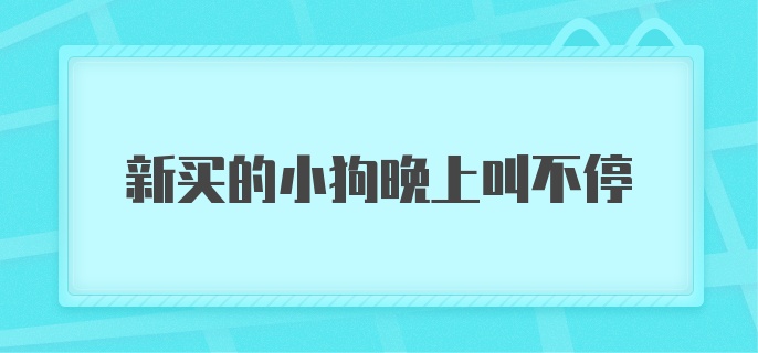 新买的小狗晚上叫不停