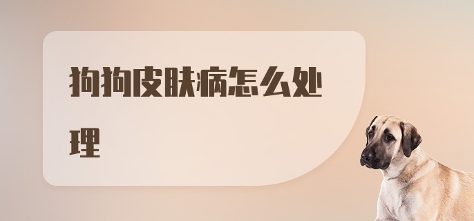 狗狗皮肤病怎么处理