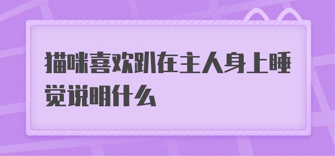 猫咪喜欢趴在主人身上睡觉说明什么