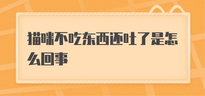 猫咪不吃东西还吐了是怎么回事