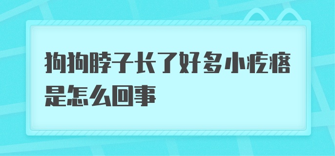 狗狗脖子上长了好多小疙瘩是怎么回事?