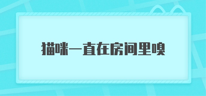 猫咪一直在房间里嗅