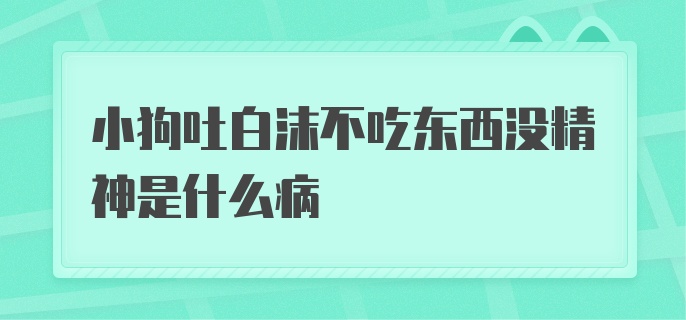 小狗吐白沫不吃东西没精神是什么病