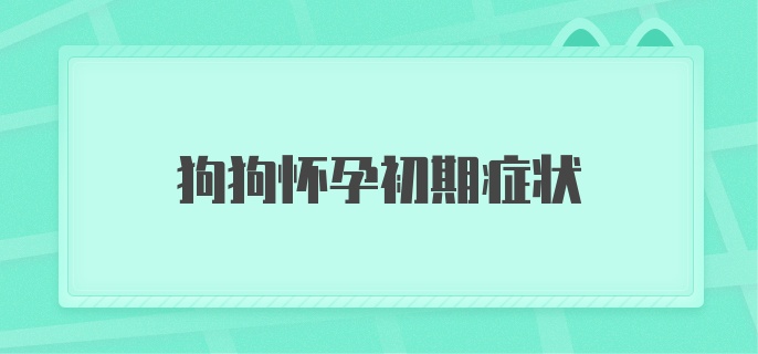 狗狗怀孕初期症状