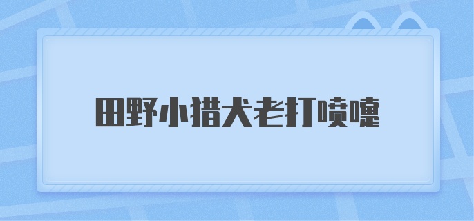 田野小猎犬老打喷嚏