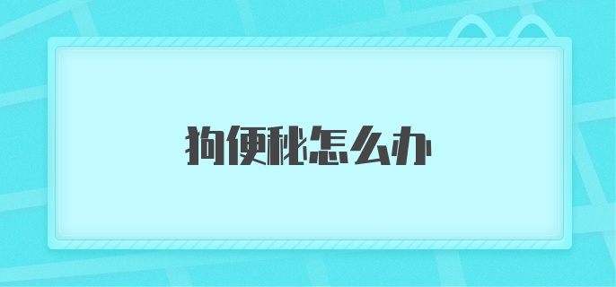 狗便秘怎么办？