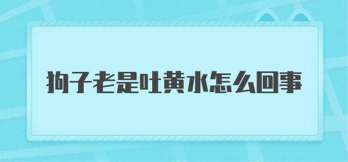 狗子老是吐黄水怎么回事