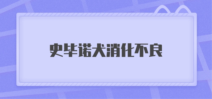 史毕诺犬消化不良