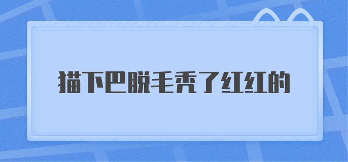 猫下巴脱毛秃了红红的