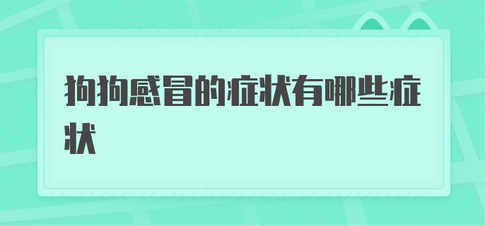 狗狗感冒的症状有哪些症状