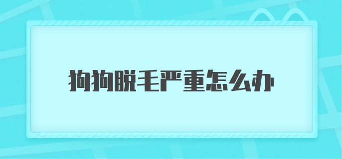 狗狗脱毛严重怎么办