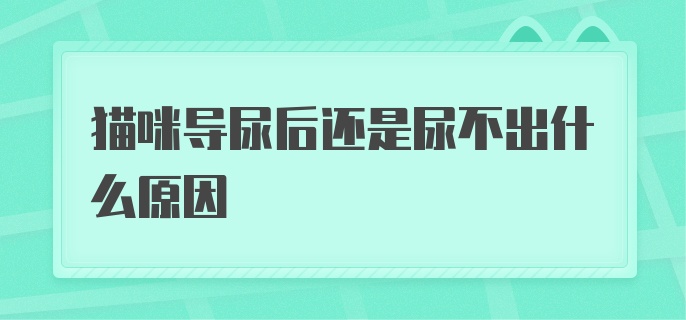 猫咪导尿后还是尿不出什么原因