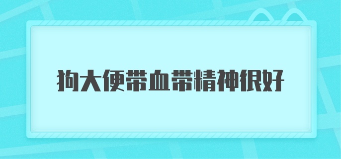 狗大便带血带精神很好