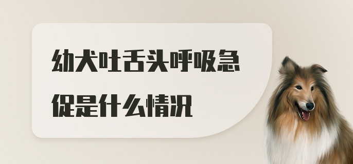 幼犬吐舌头呼吸急促是什么情况