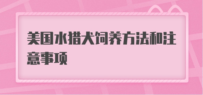 美国水猎犬饲养方法和注意事项