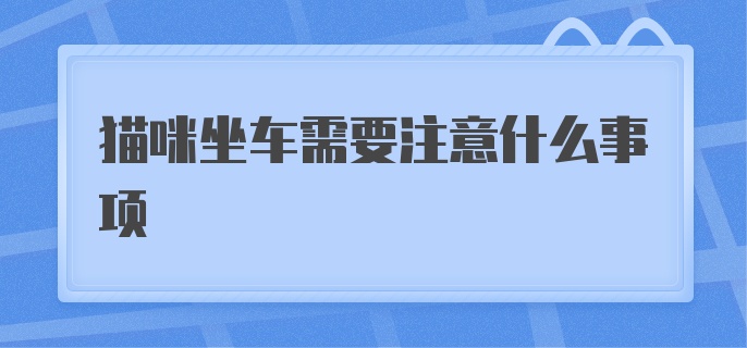 猫咪坐车需要注意什么事项