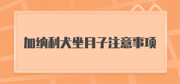 加纳利犬坐月子注意事项