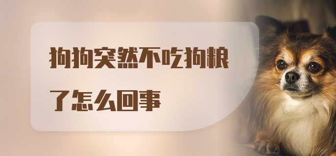 狗狗突然不吃狗粮了怎么回事