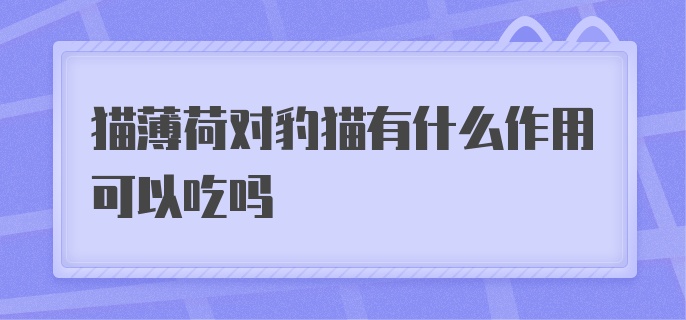 猫薄荷对豹猫有什么作用可以吃吗