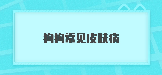 狗狗常见皮肤病