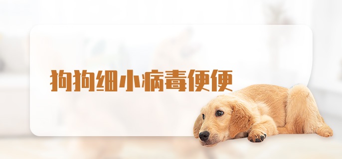 狗狗细小病毒便便