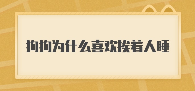 狗狗为什么喜欢挨着人睡