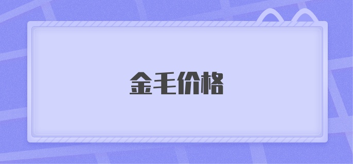 金毛价格