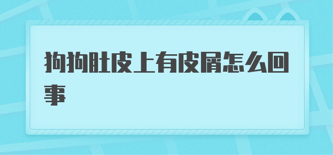 狗狗肚皮上有皮屑怎么回事