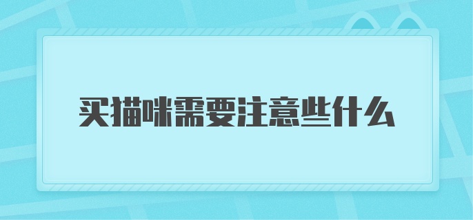 买猫咪需要注意些什么