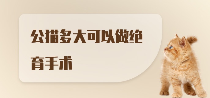 公猫多大可以做绝育手术