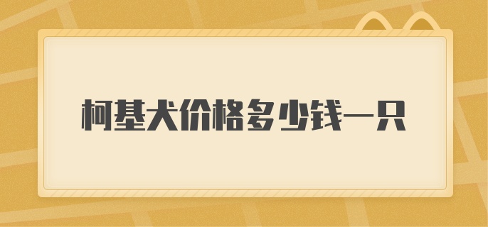 柯基犬价格多少钱一只