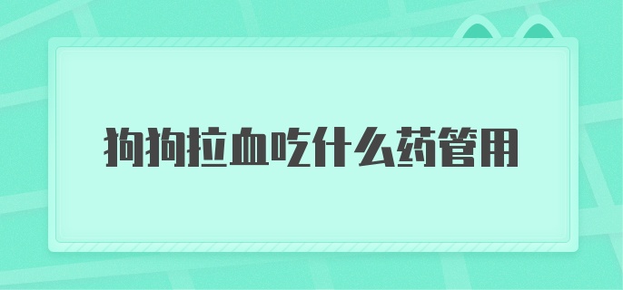 狗狗拉血吃什么药管用