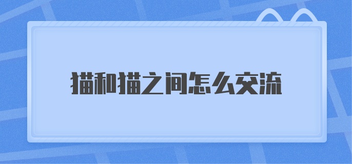 猫和猫之间怎么交流